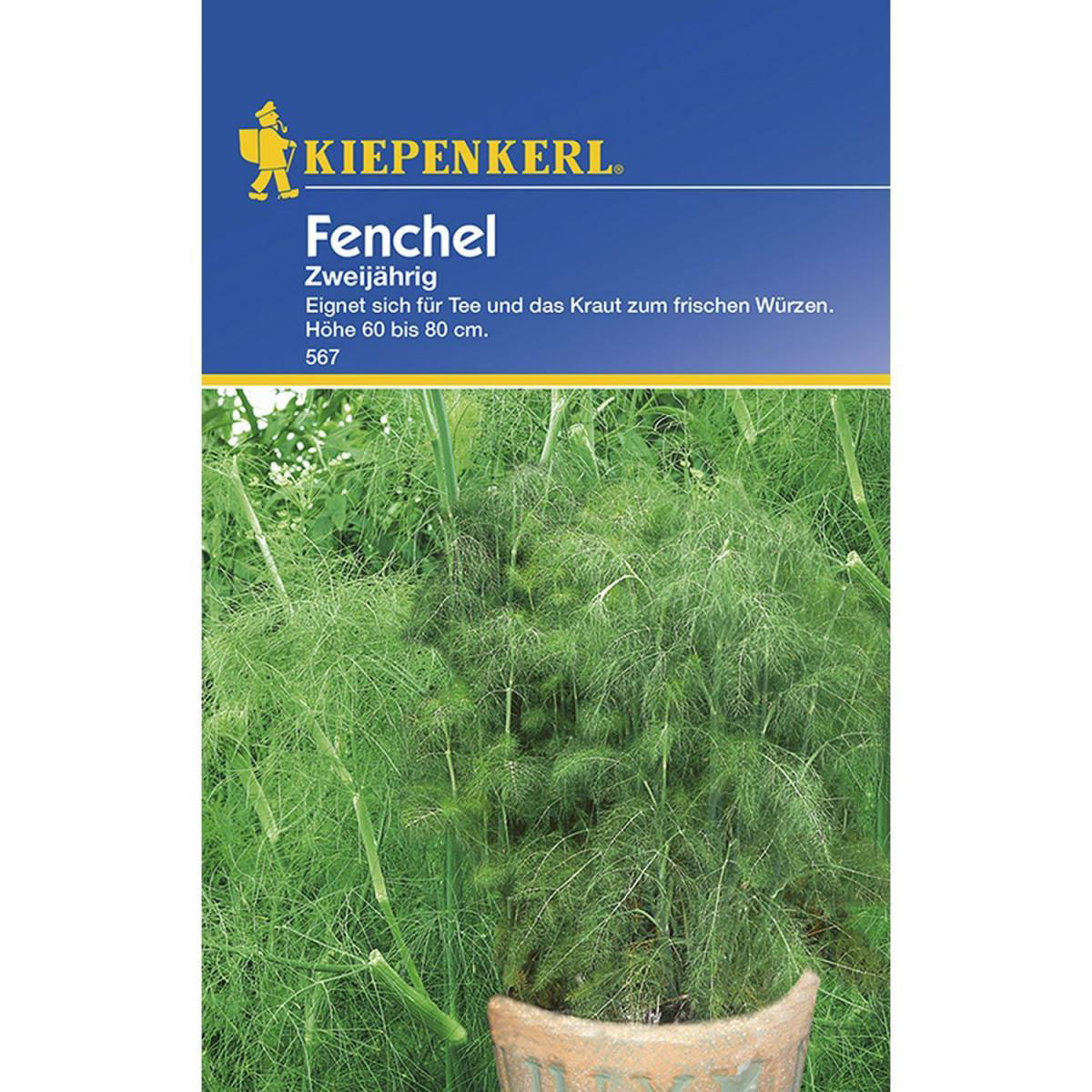 Kiepenkerl Fruchtfenchel