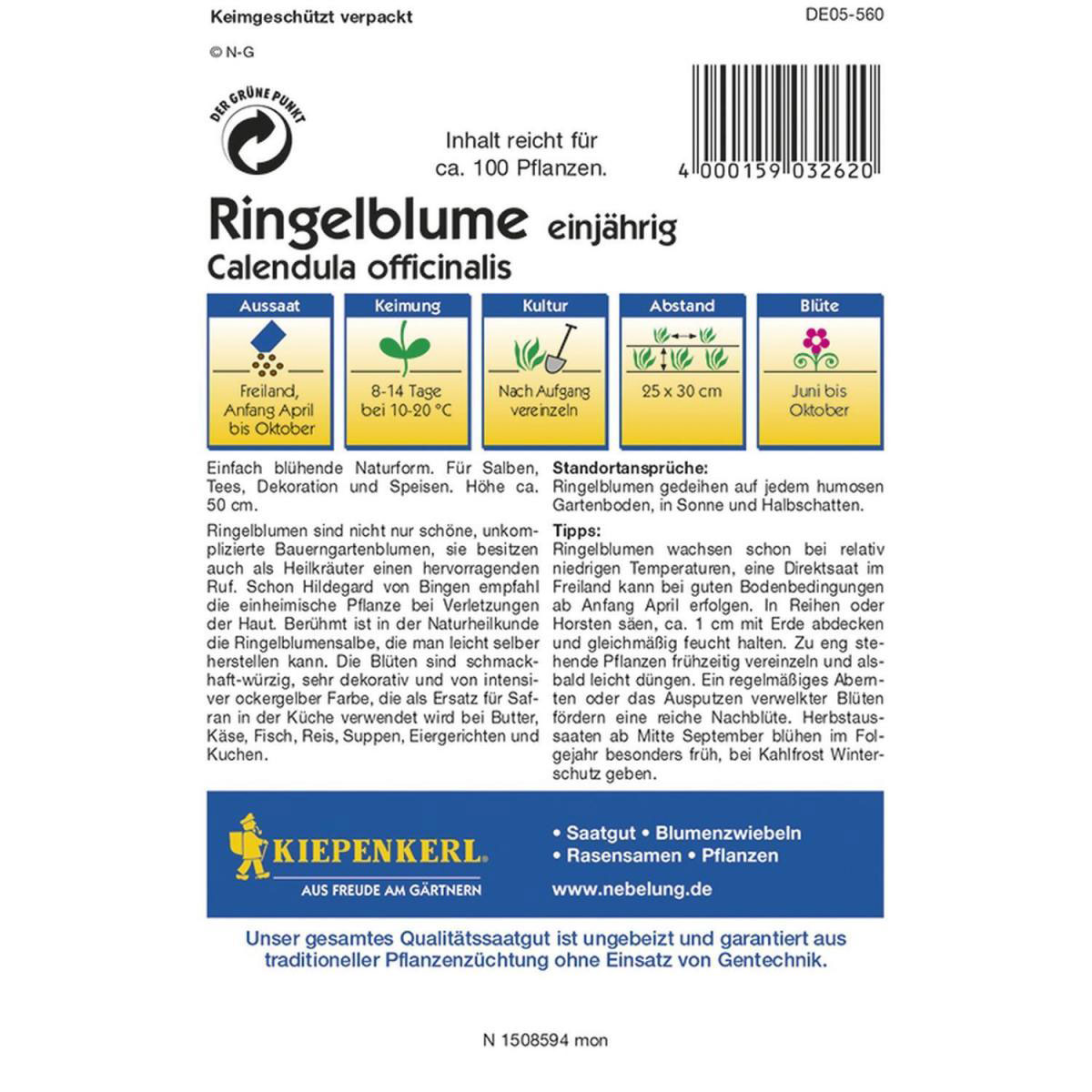 Kiepenkerl Ringelblumen für Tee und Salben Profi-Line Bild 3