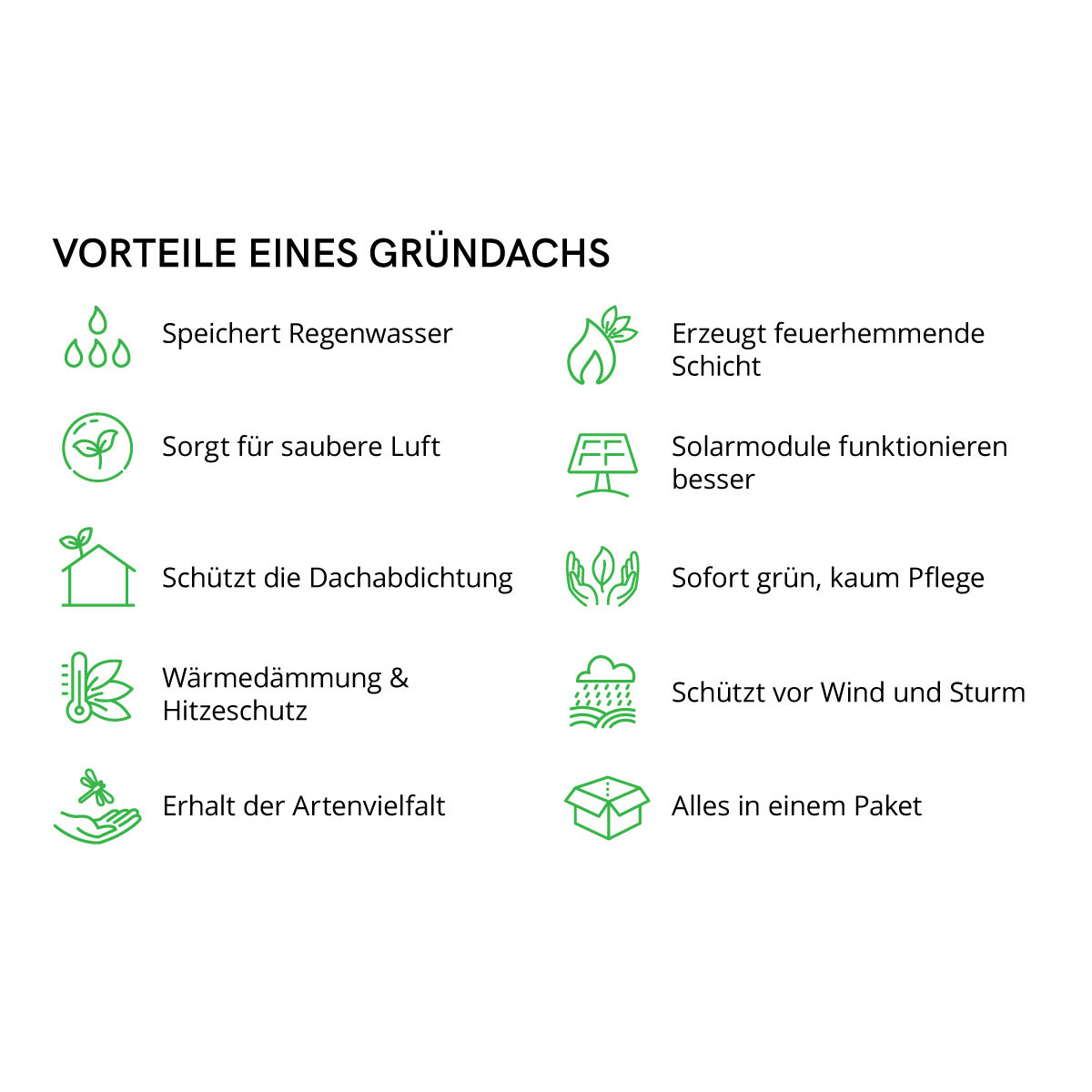 AboutGreen Gründachsystem Click und Go bis 15 Dachneigung 45 x 49,5 cm Bild 5