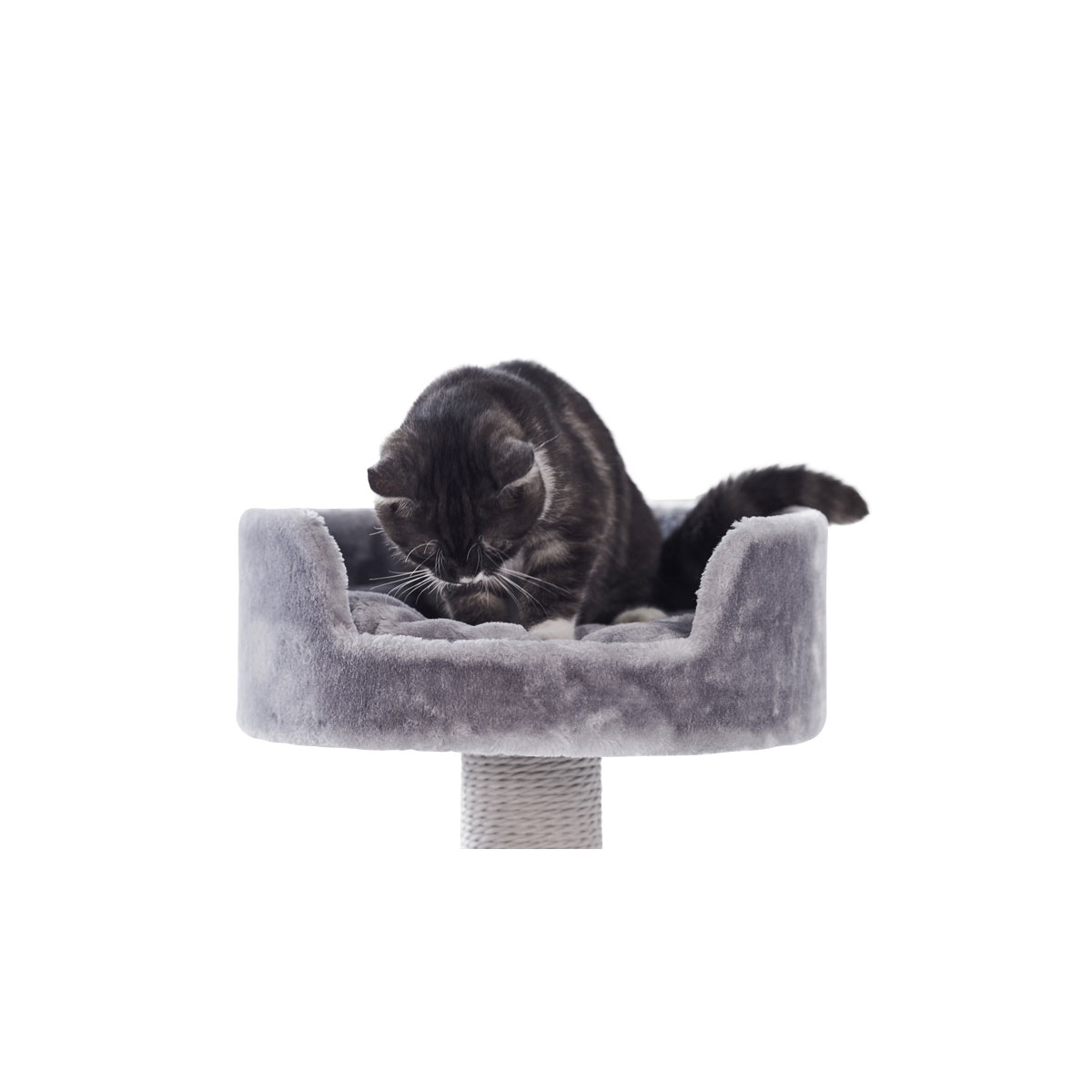 Nobby Kratzbaum Classic Zera 50 x 50 x 97 grau