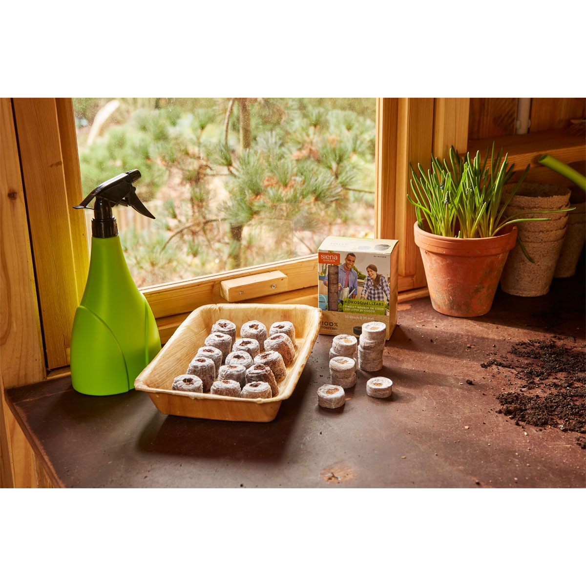 SIENA GARDEN  ECO-Anzuchtschale aus Palmblatt Bild 2