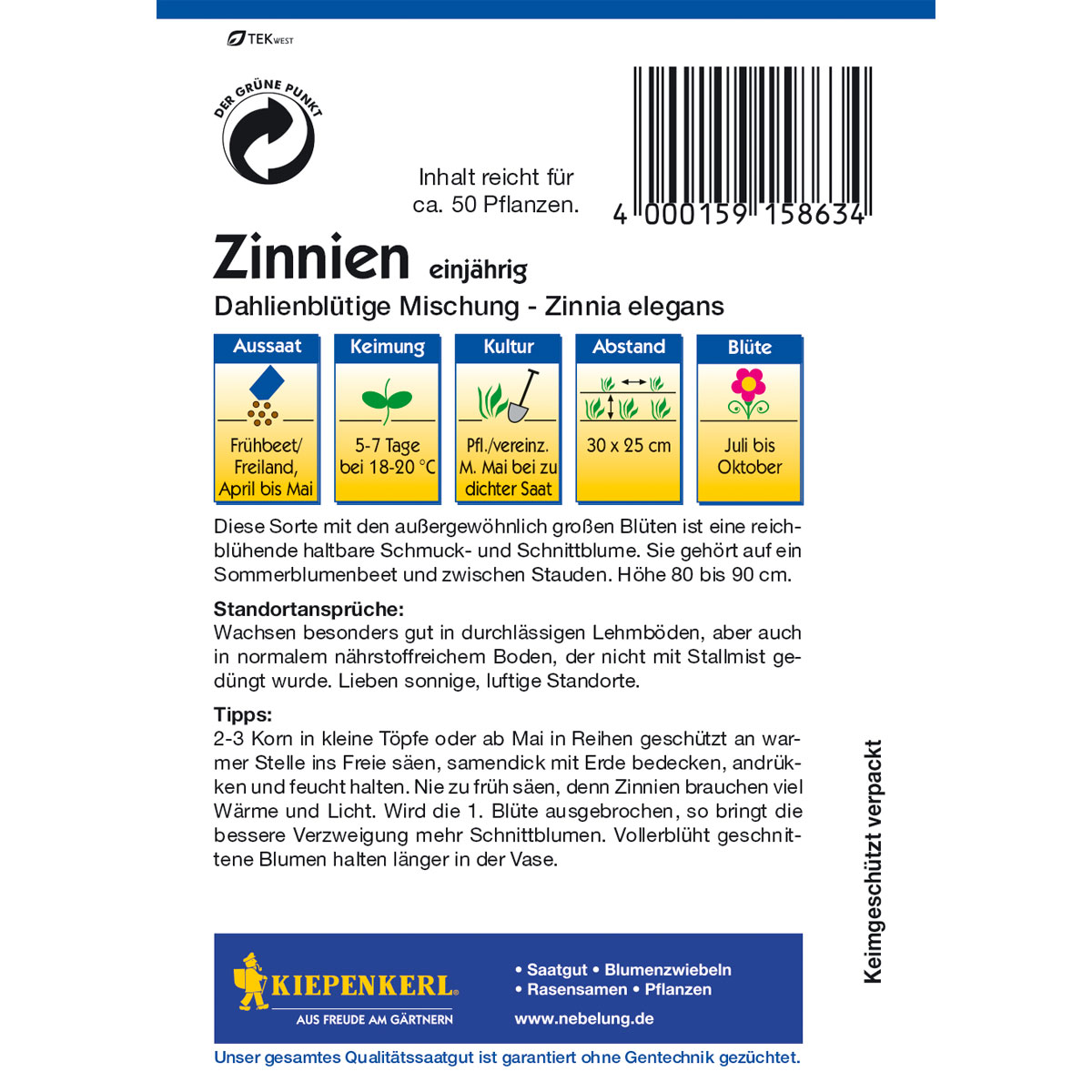 Kiepenkerl Zinnia Dahlienblütige Mischung Bild 2