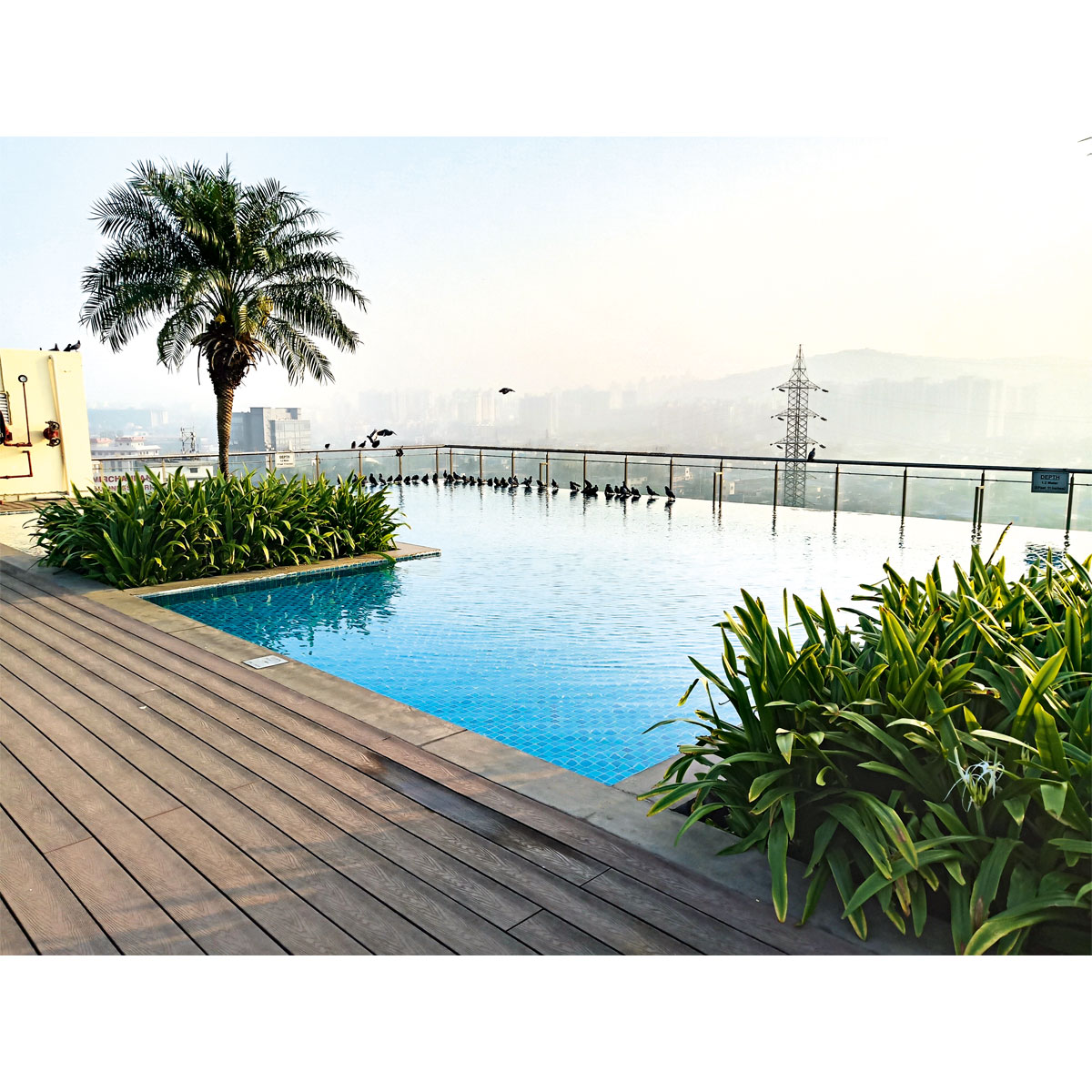 Hartmann WPC-Terrassendiele braun geriffelt 200 x 14,5 x 2,3 cm Bild 5