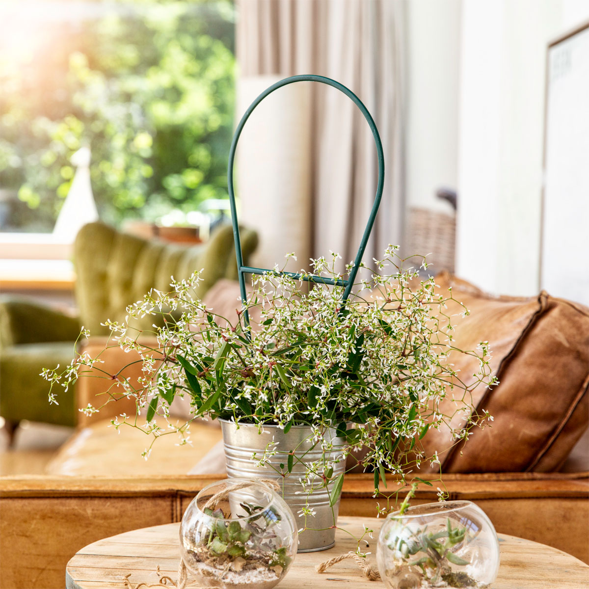 Windhager  Bogenspalier 44x19 cm