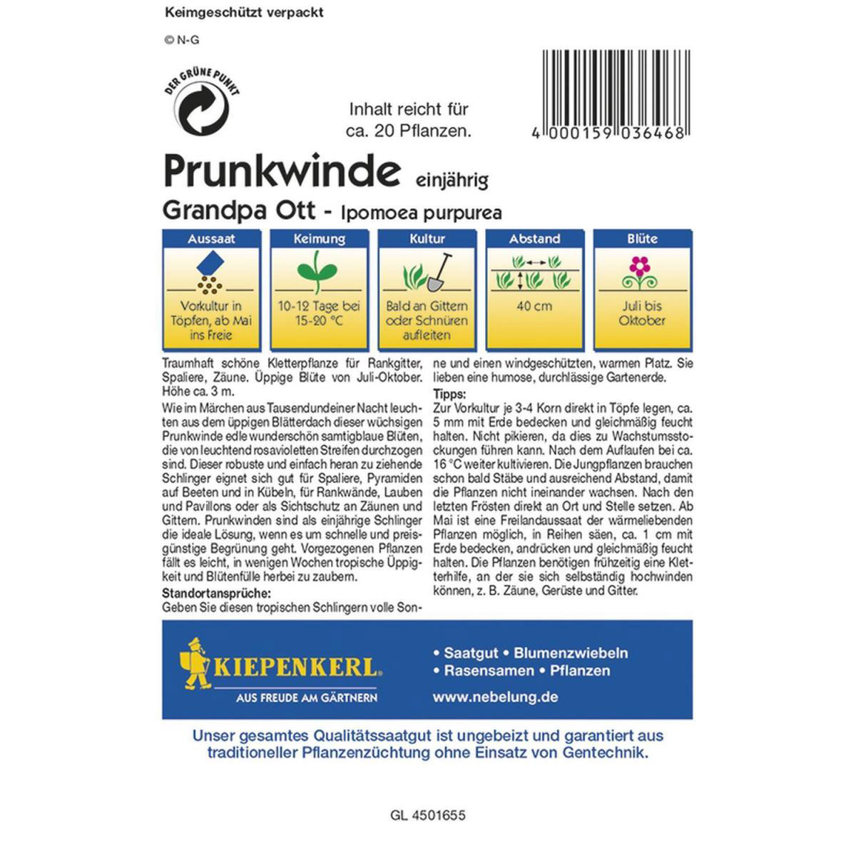 Kiepenkerl Prunkwinde Grandpa Ott Profi-Line Bild 2