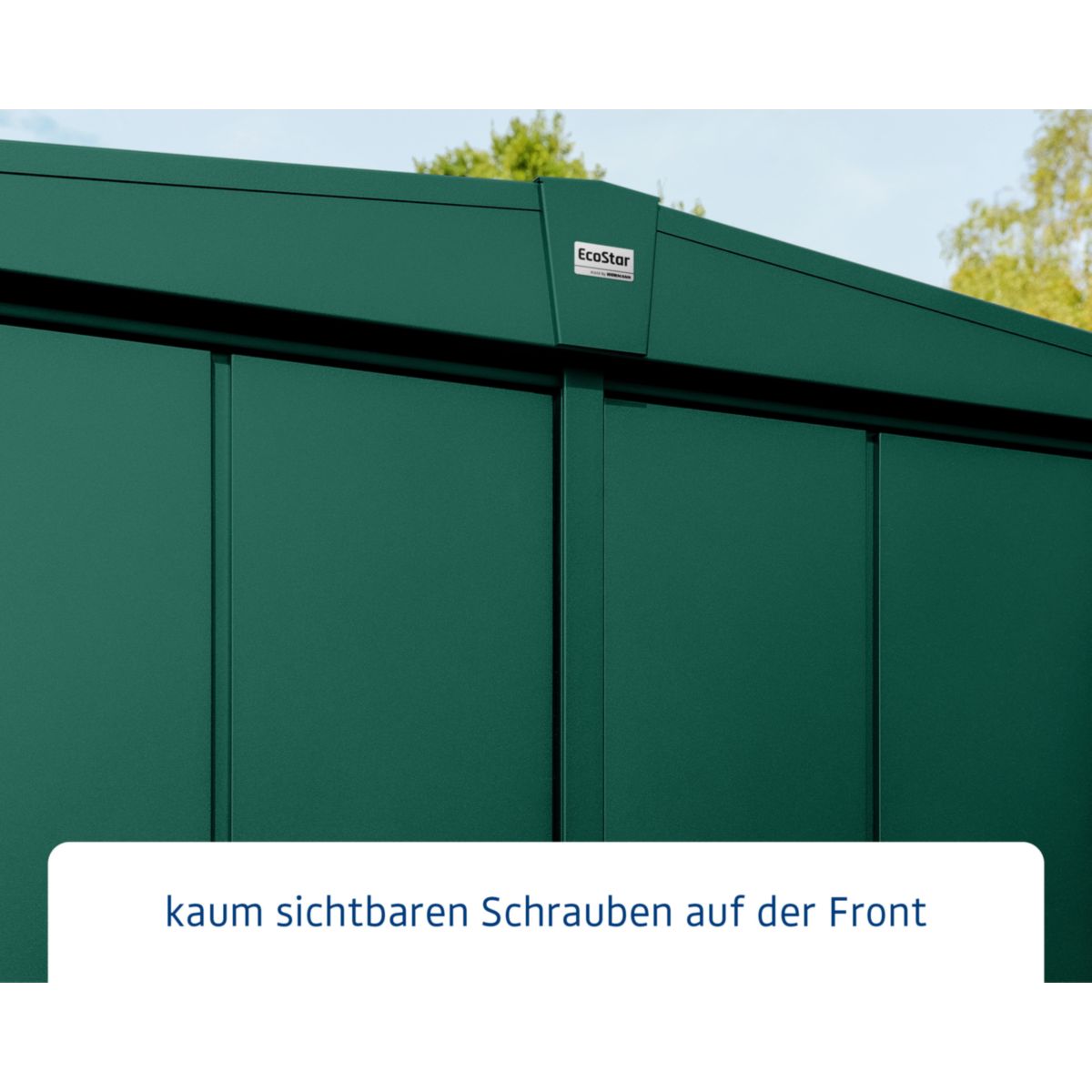 EcoStar  Gerätehaus Elegant-STyp 1RAL6005 1 flg Bild 4