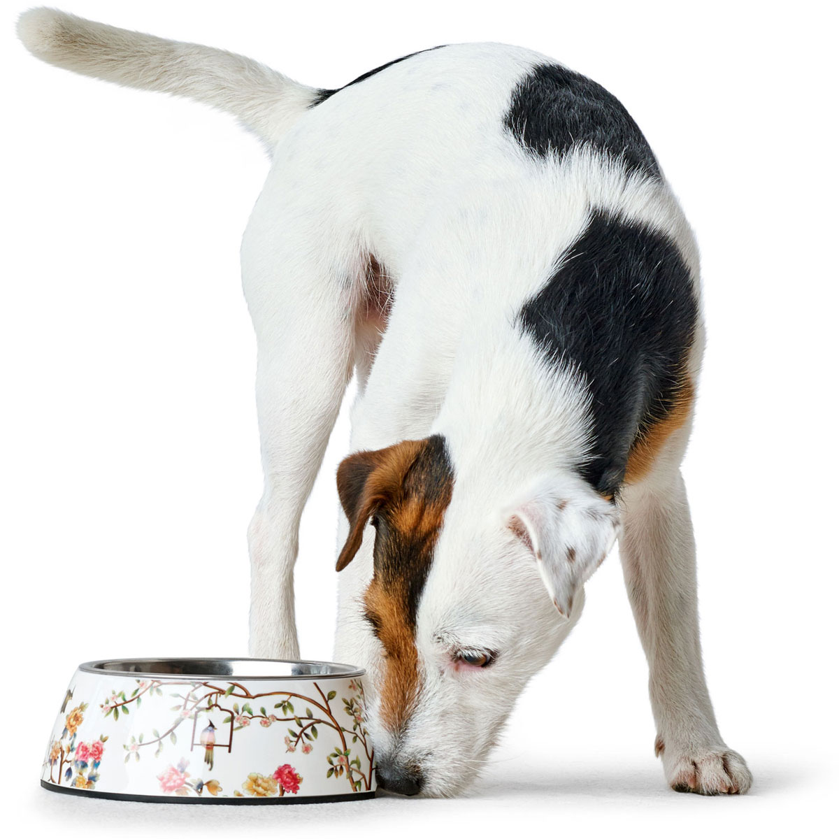 Hunter  Melamin-Napf Mogami we/multicolor 700ml Bild 3