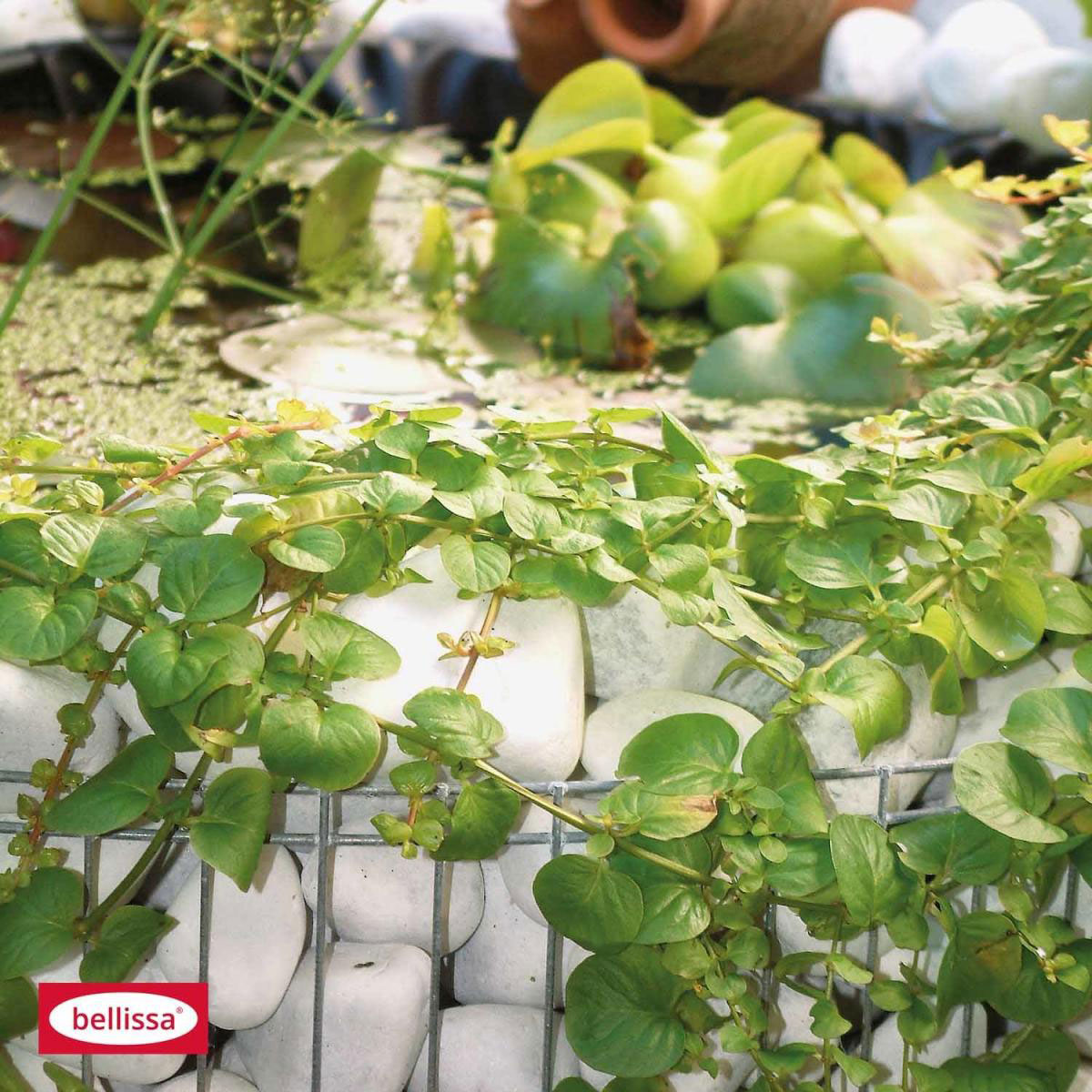 Hochteich Bausatz Durchmesser 92 cm Höhe 40 cm inkl Teich Bild 2