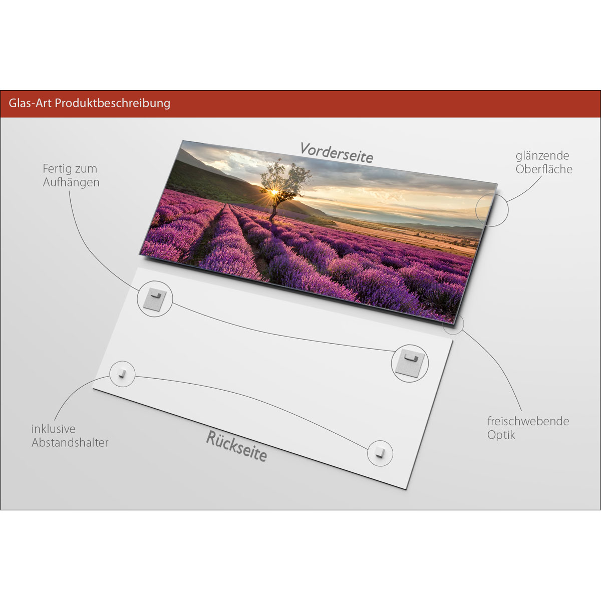 Glas-Art Silence 50 x 125 cm Glasbild Bild 3