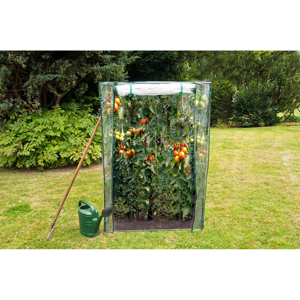 Wingart Tomatengewächshaus Mini 50 x 100 x 150 cm Bild 2
