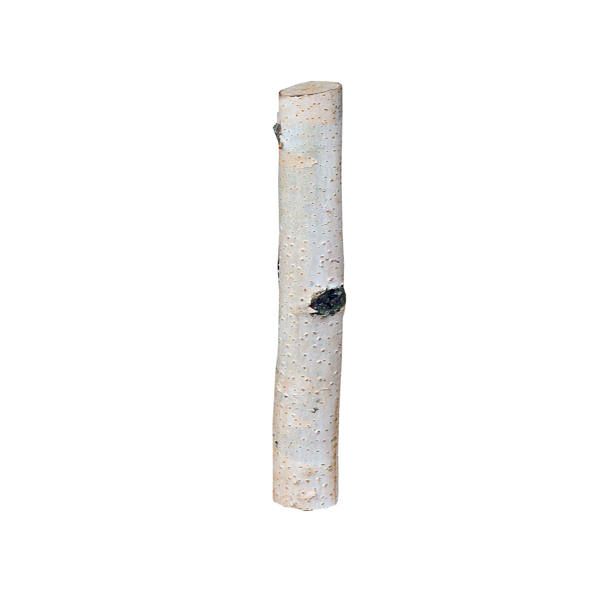 Birkensticks 40 cm Durchmesser 5-6 cm Bild 1