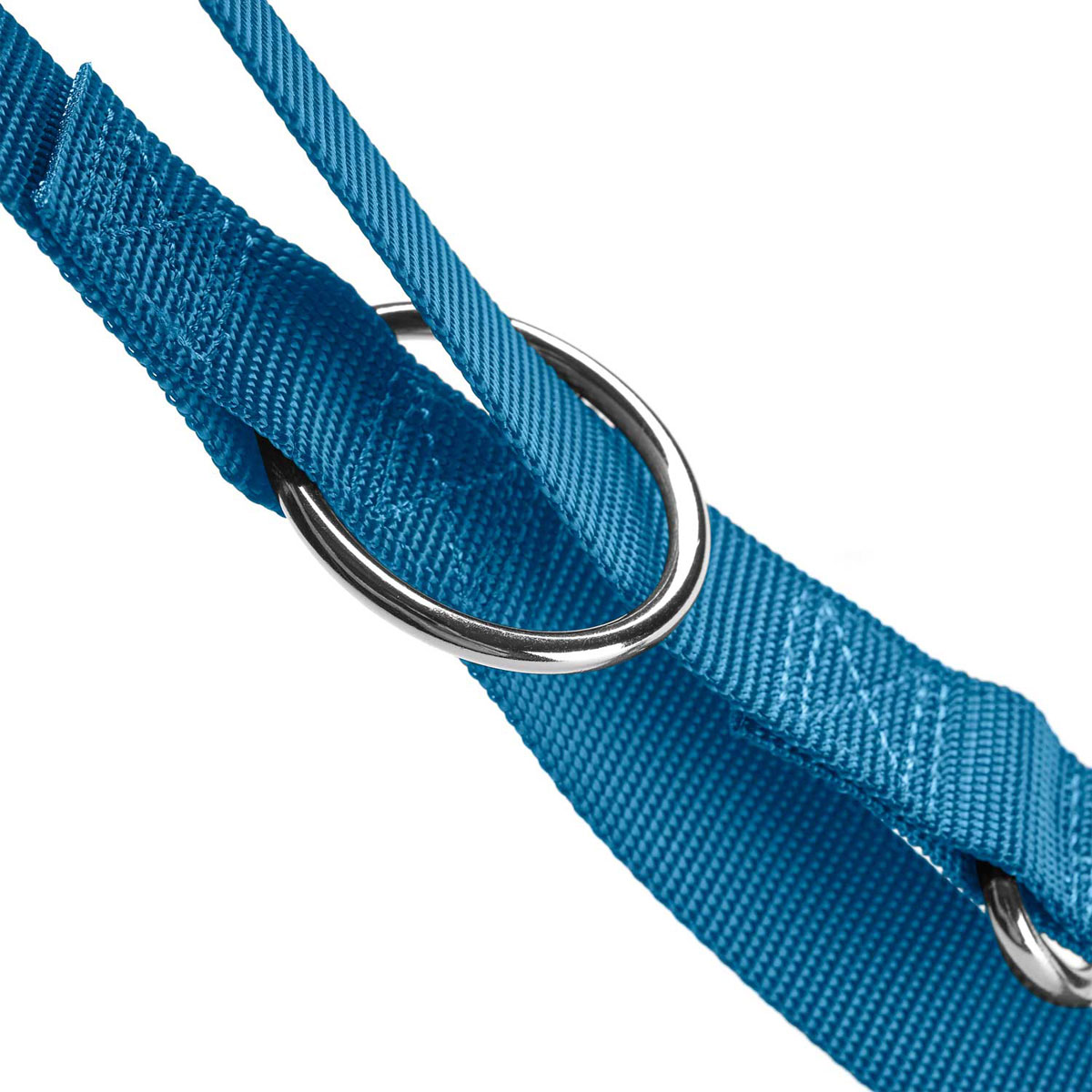 Hunter Führleine London hellblau 200 x 1,5 cm Bild 3