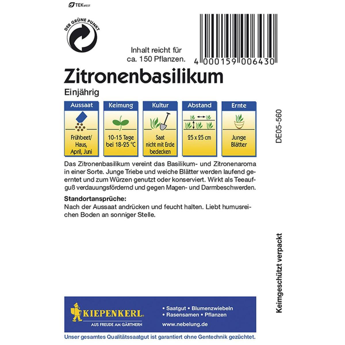 Kiepenkerl Zitronenbasilikum einjährig Bild 2