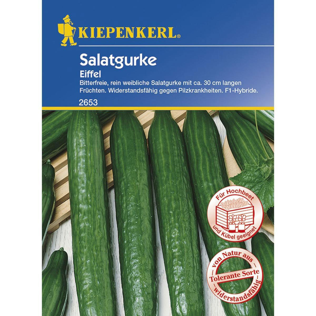 Kiepenkerl Salatgurke Eiffel F1