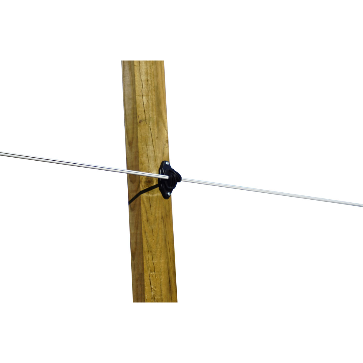 Stahldraht Premium Horse Wire 250 m