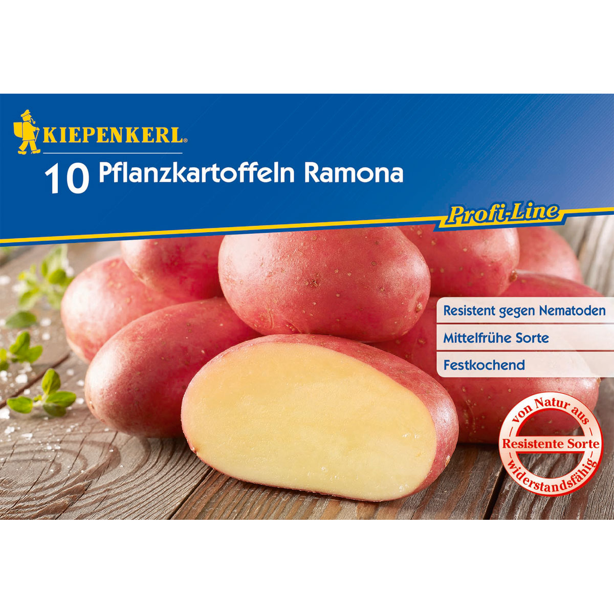 Kiepenkerl Pflanzkartoffeln Romana 10 Stück