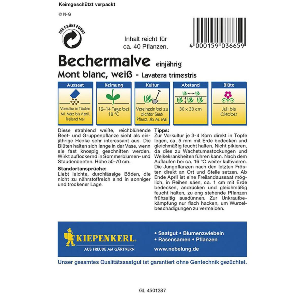 Kiepenkerl Bechermalve Mont Blanc weiß Profi-Line Bild 2