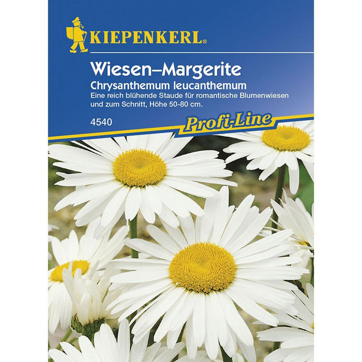 Kiepenkerl Wiesen-Margerite Profi-Line