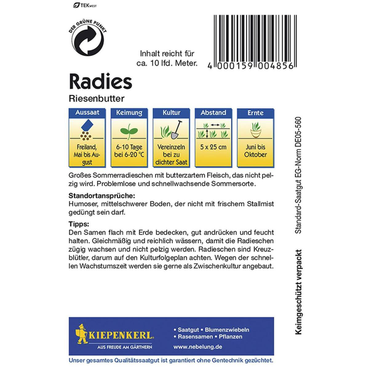 Kiepenkerl Radieschen Riesenbutter Bild 2