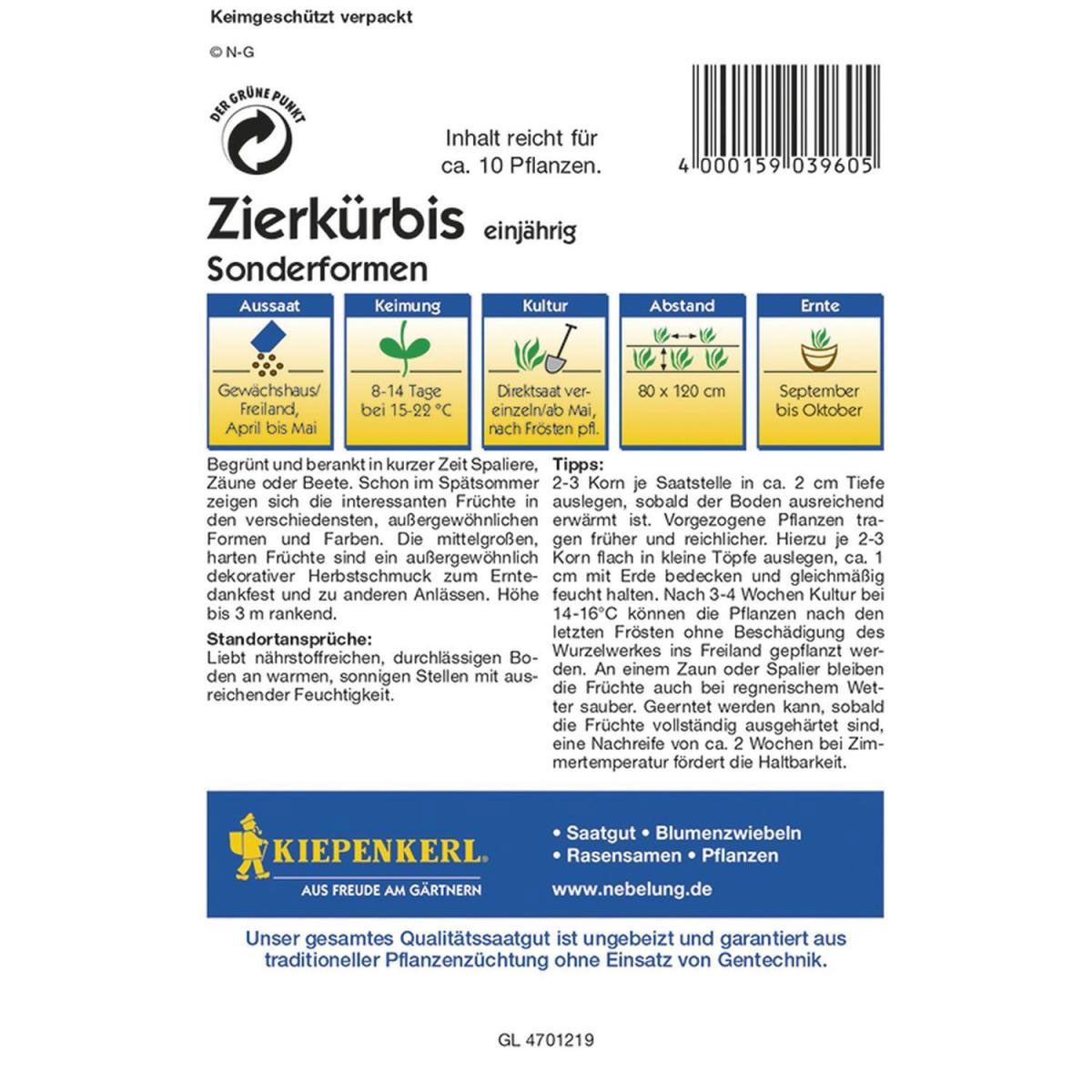 Kiepenkerl Zierkürbis Sonderformen Profi-Line Bild 2