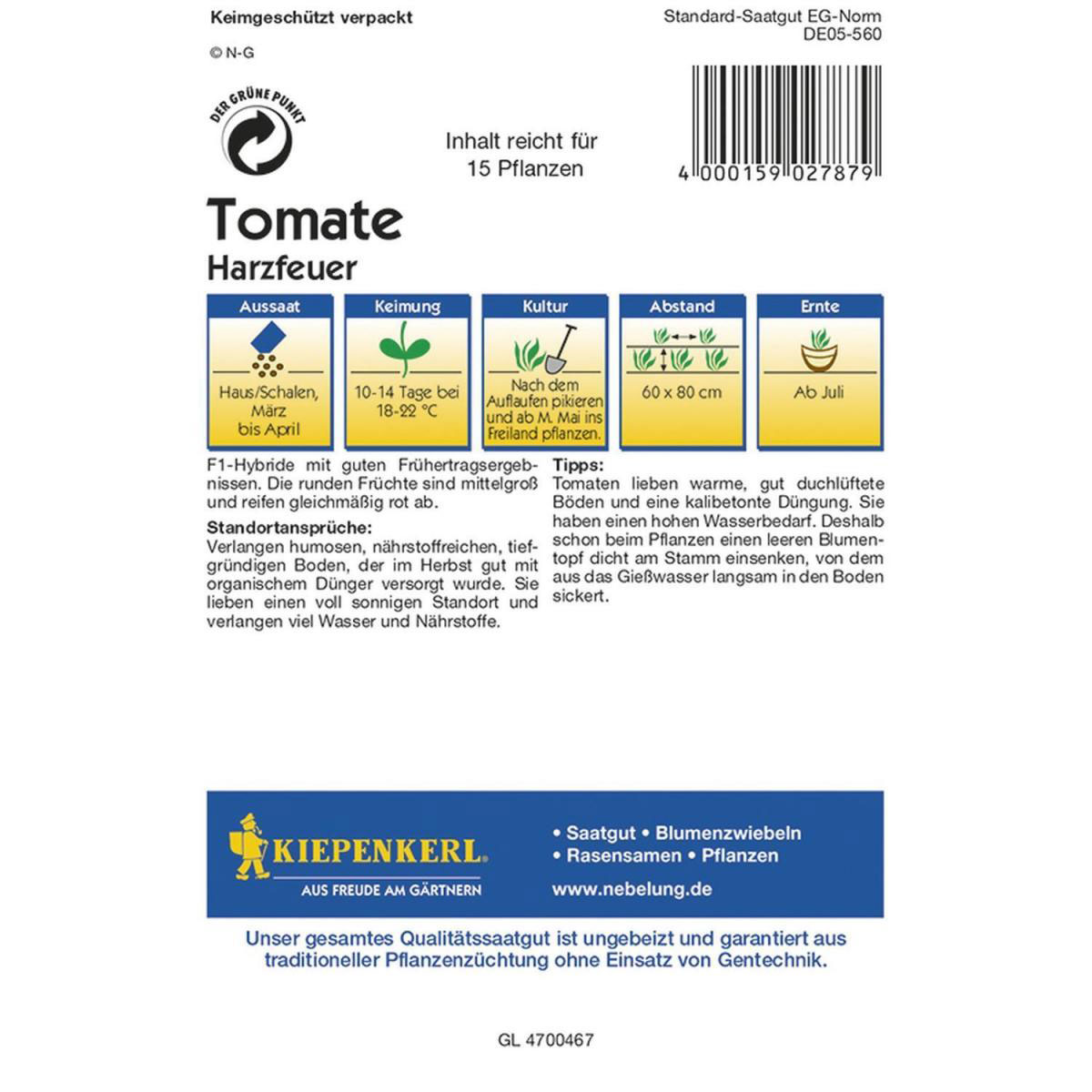 Kiepenkerl Tomaten Harzfeuer F1 Profi-Line Bild 2