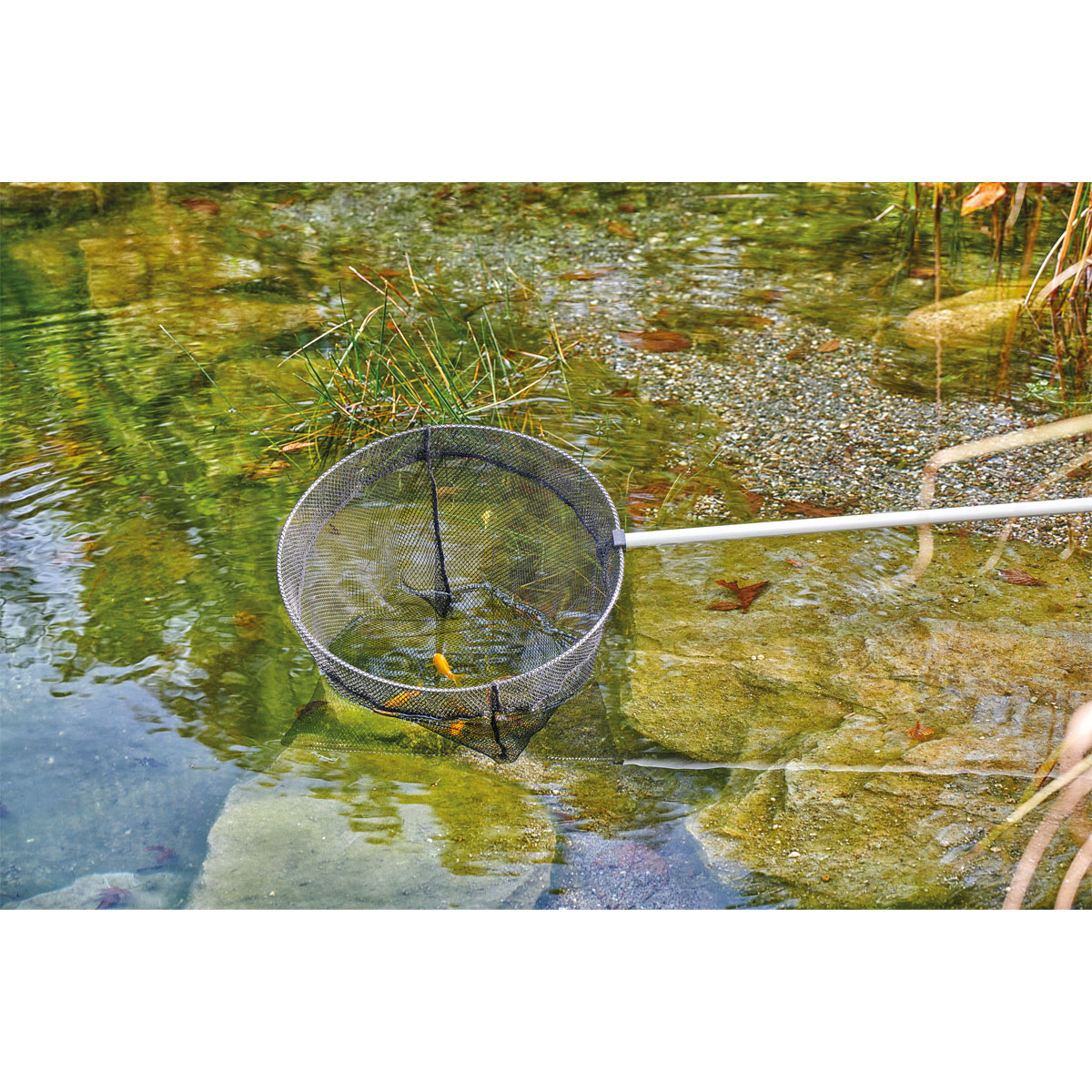 Oase Teleskop-Fischkescher rund 113-180 cm Bild 2