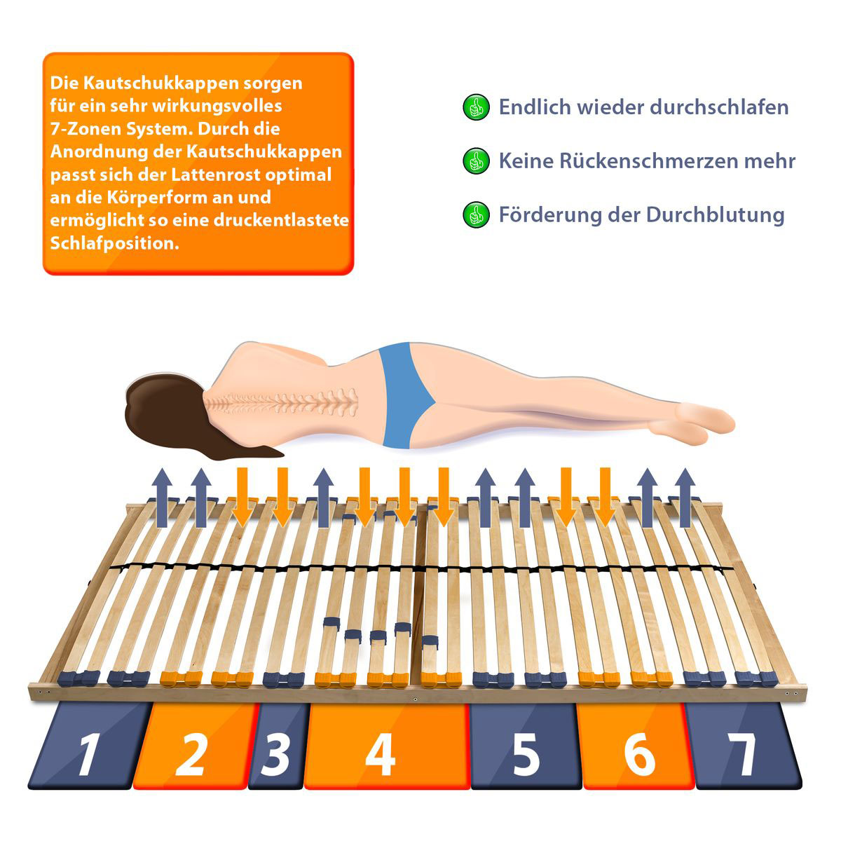 Coemo Lattenrost MULTIRA 28 Federleisten starr 90 x 200 cm Bild 3