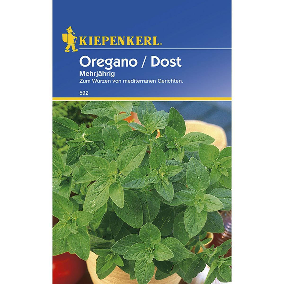 Kiepenkerl Oregano / Dost mehrjährig