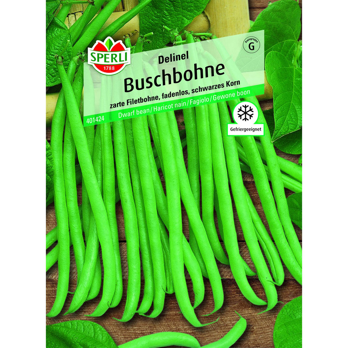 Buschbohne Delinel Bild 1