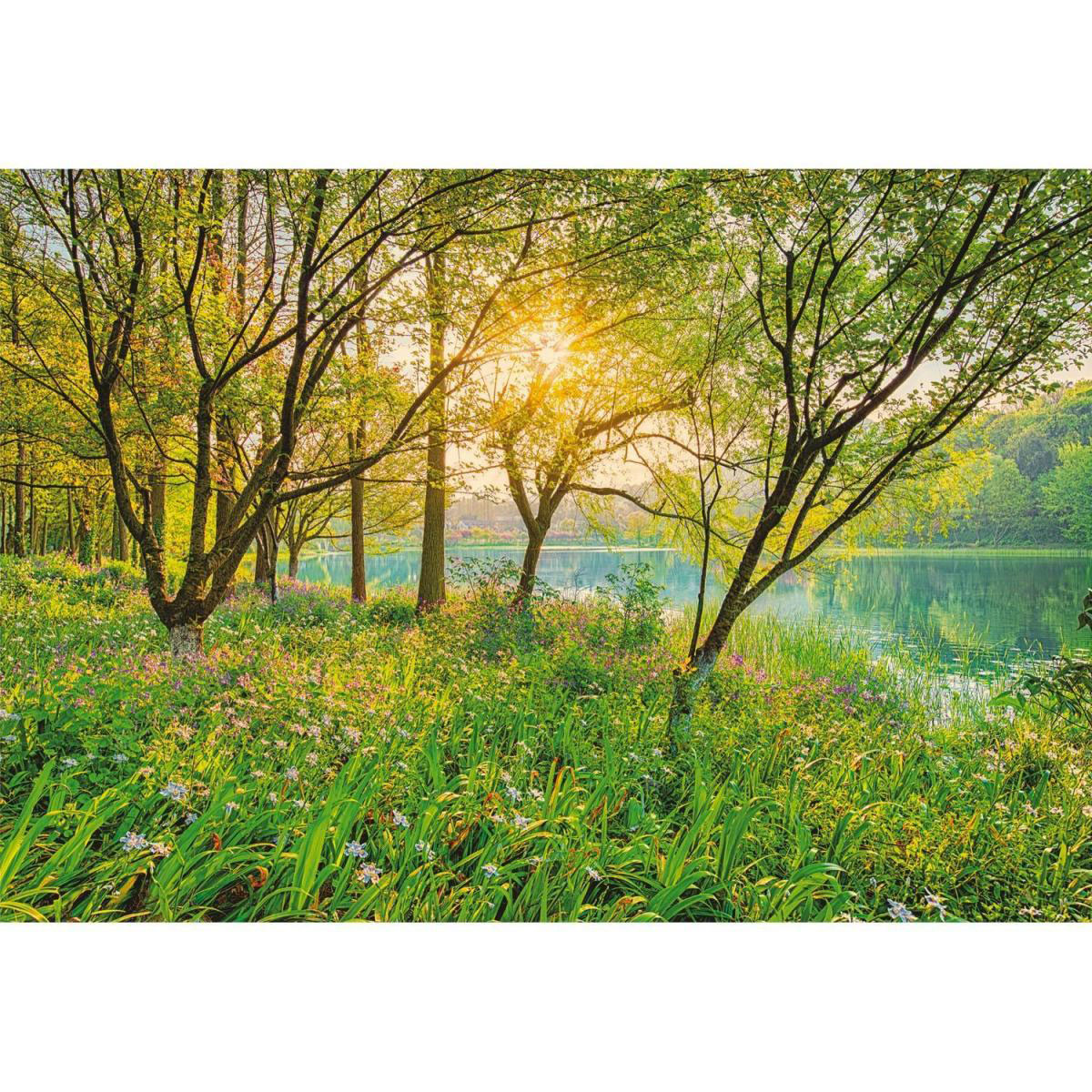 Komar Papier-Fototapete Spring Lake 8-teilig 368 x 254 cm