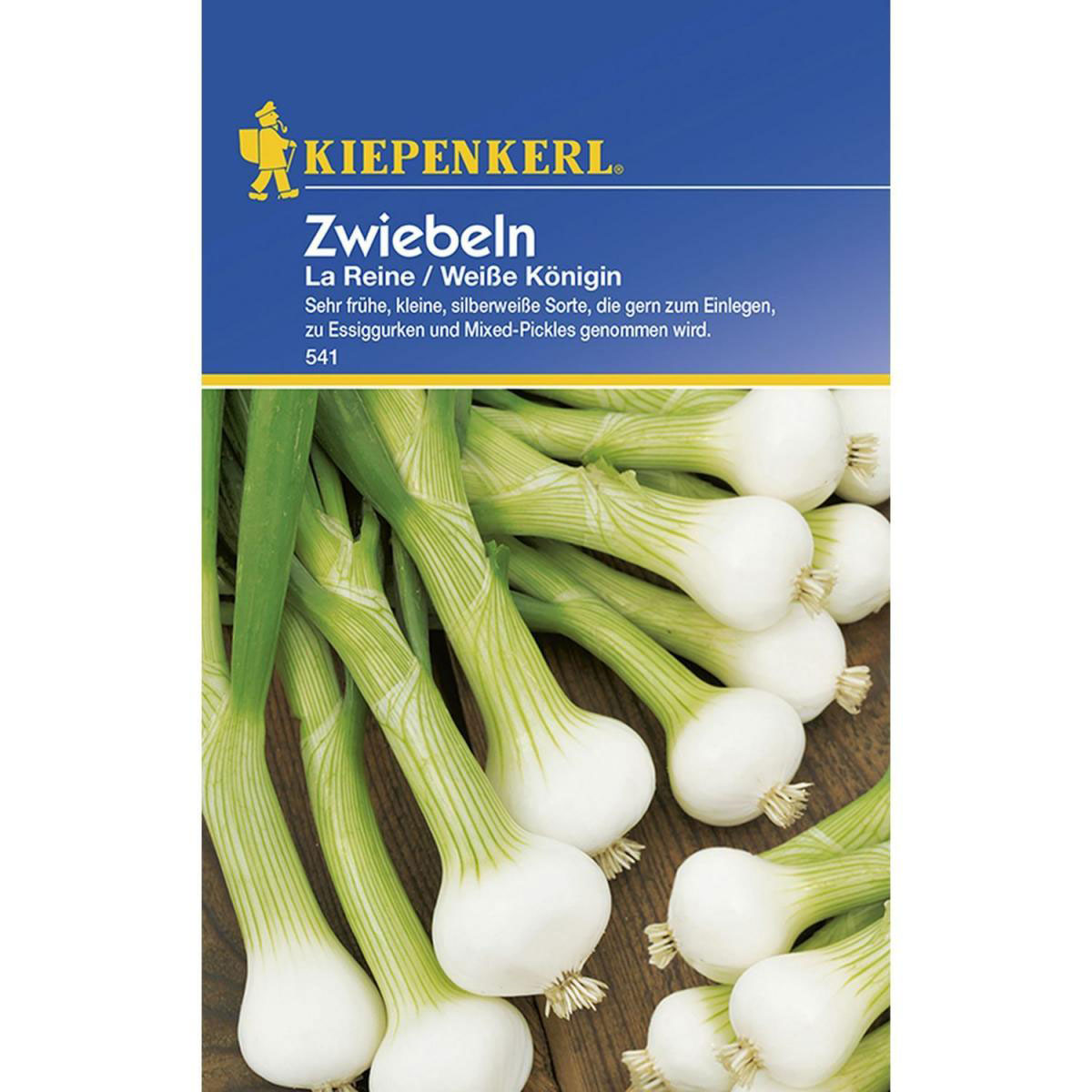Kiepenkerl Zwiebeln La Reine