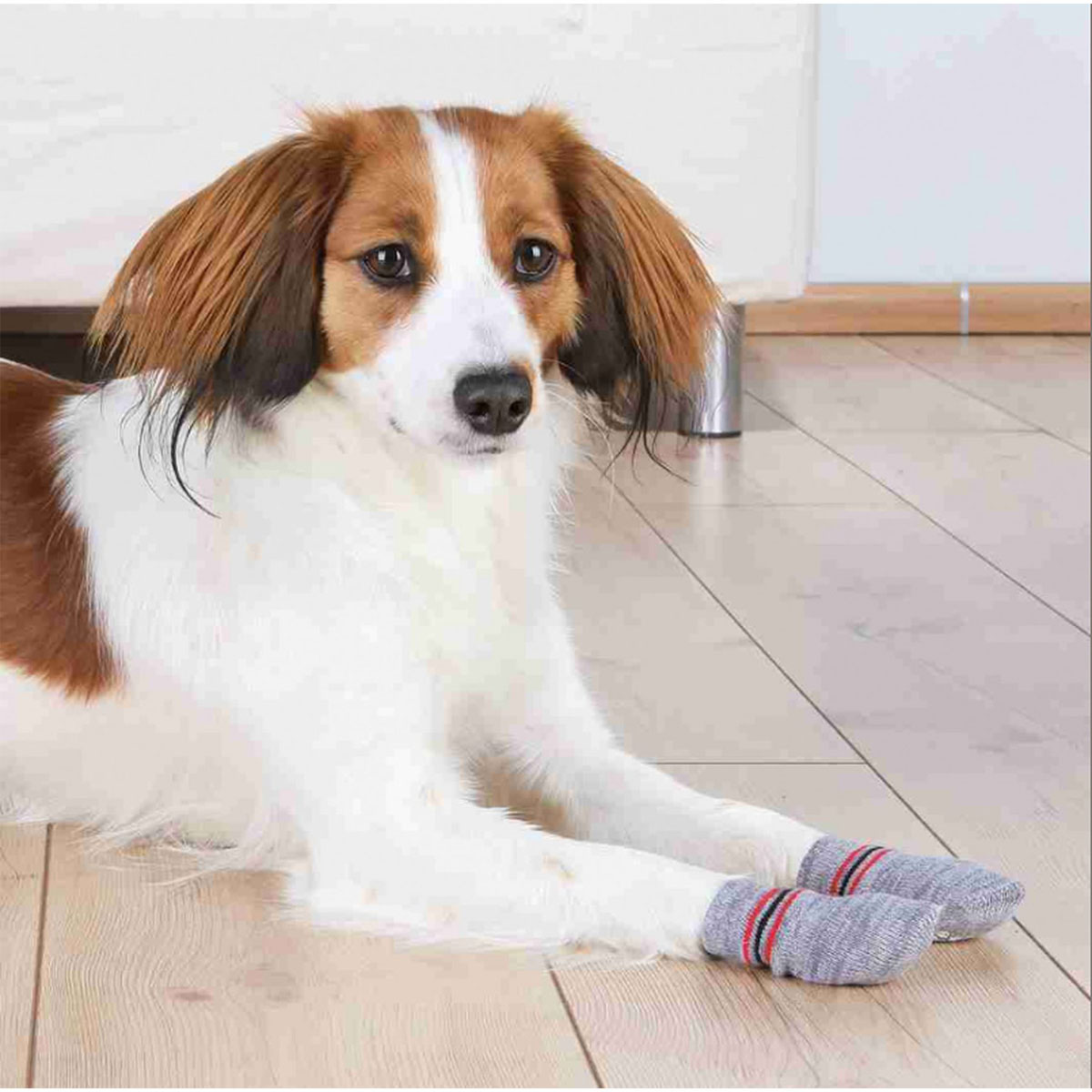 Trixie Dog Anti-Rutsch-Hundesocken grau 2St S-M