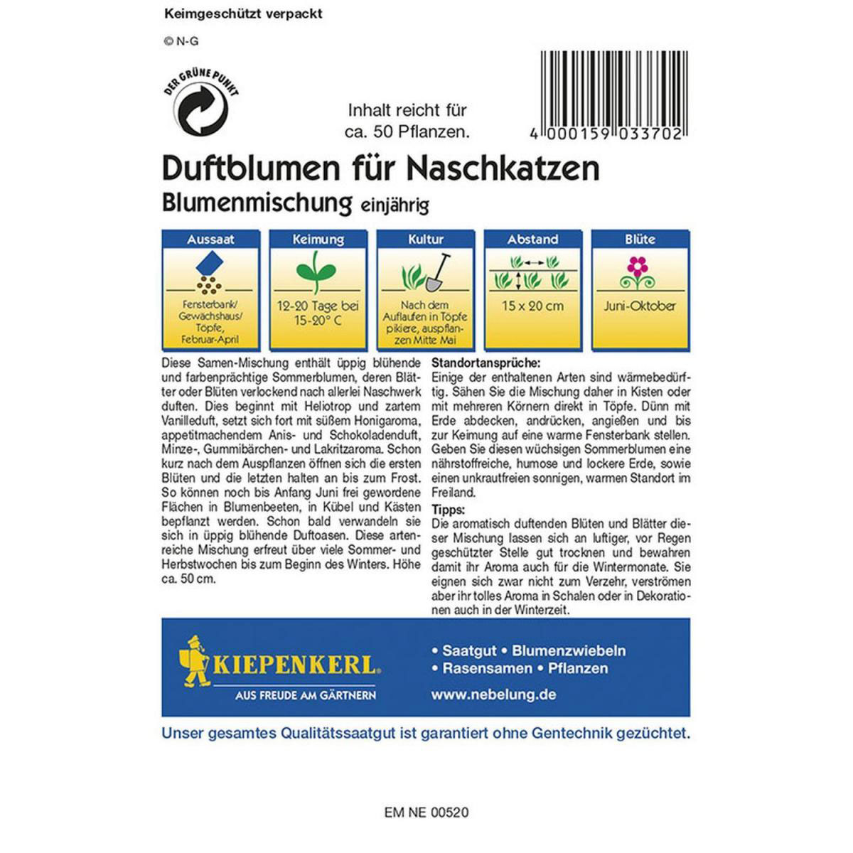 Kiepenkerl Duftblumen für Naschkatzen Mischung Bild 2