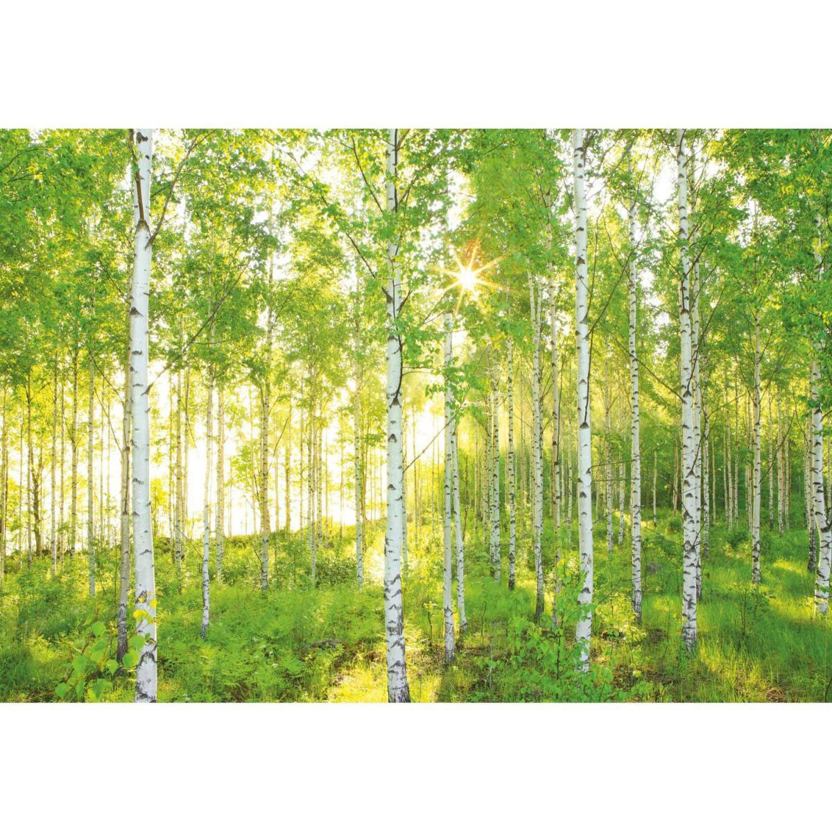 Komar Papier-Fototapete Sunday 8-teilig 368 x 254 cm