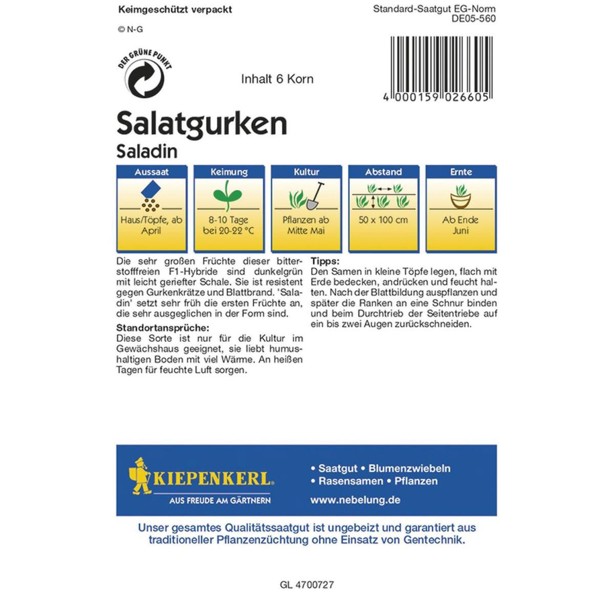 Kiepenkerl Gurken Saladin F1 Profi-Line Bild 2