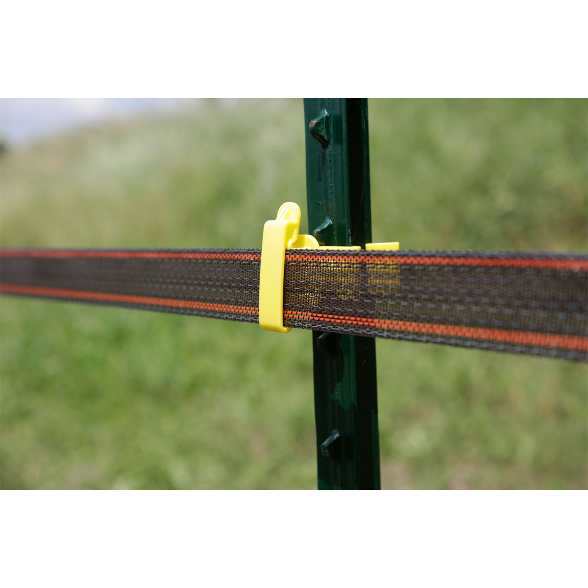 T-Post Band Isolator gelb Bild 4