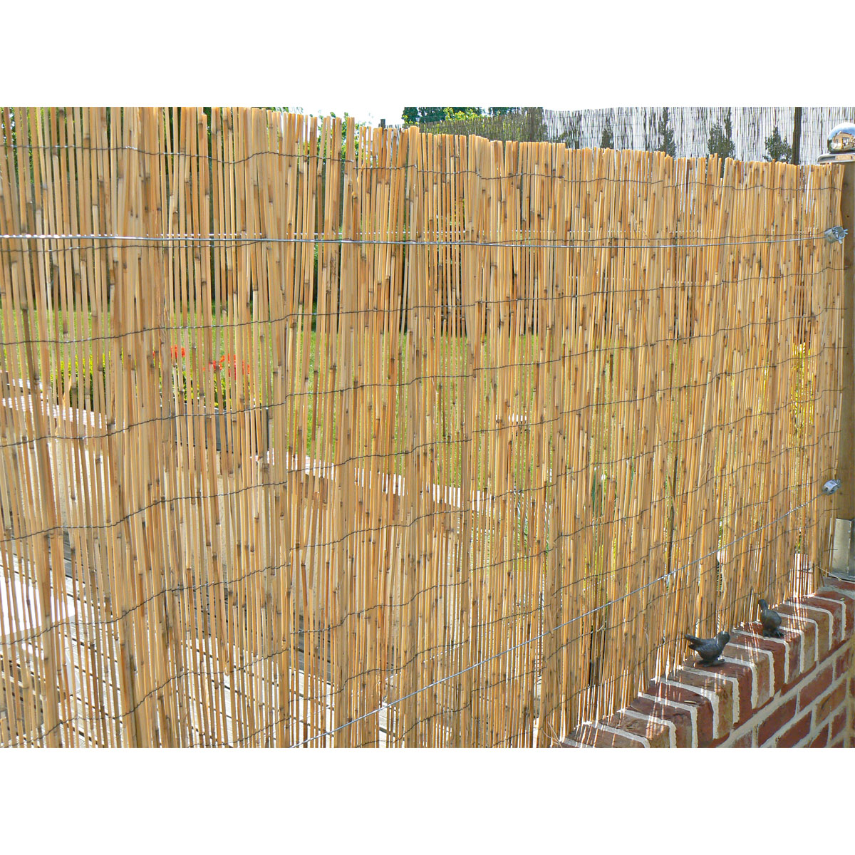 Hartmann  Schilfrohrmatte Malaga 100 x 600 cm