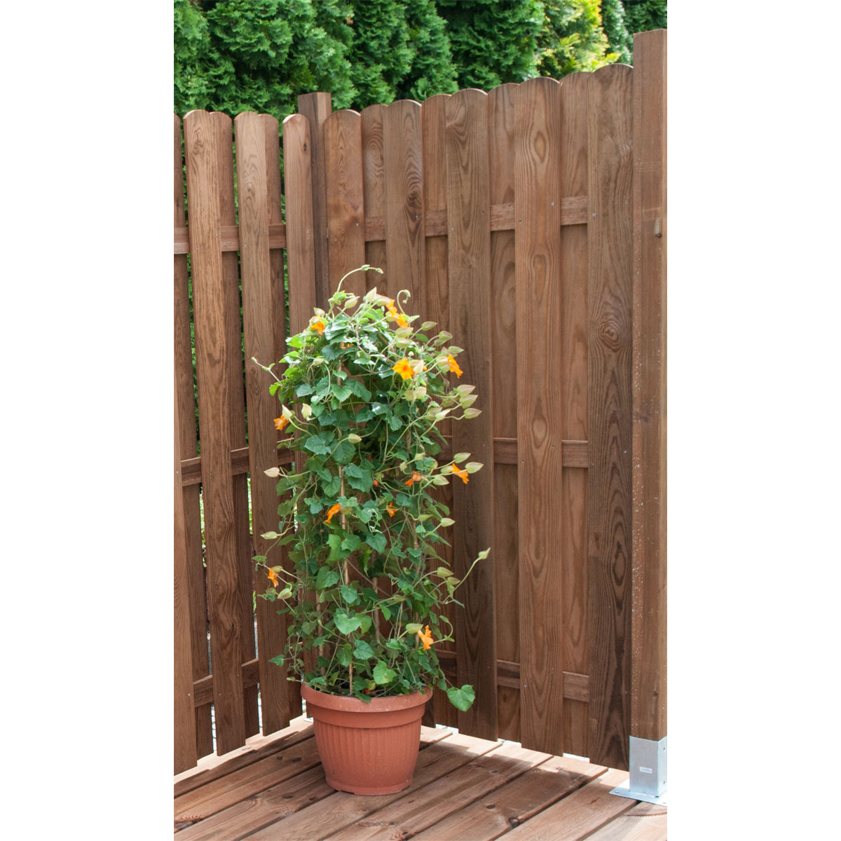 Pfosten Sylt 90x90x1900 cm braun Bild 3