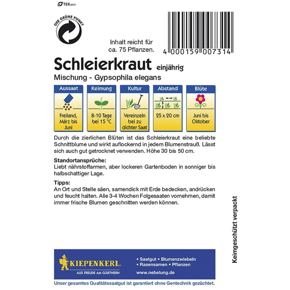 Kiepenkerl Schleierkraut Gypsophila einjährig Bild 2