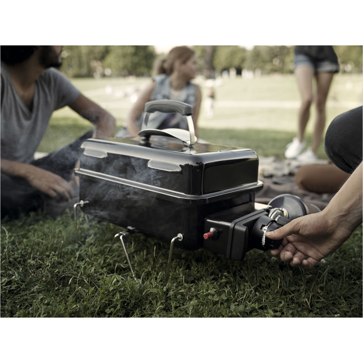Weber on the go hotsell
