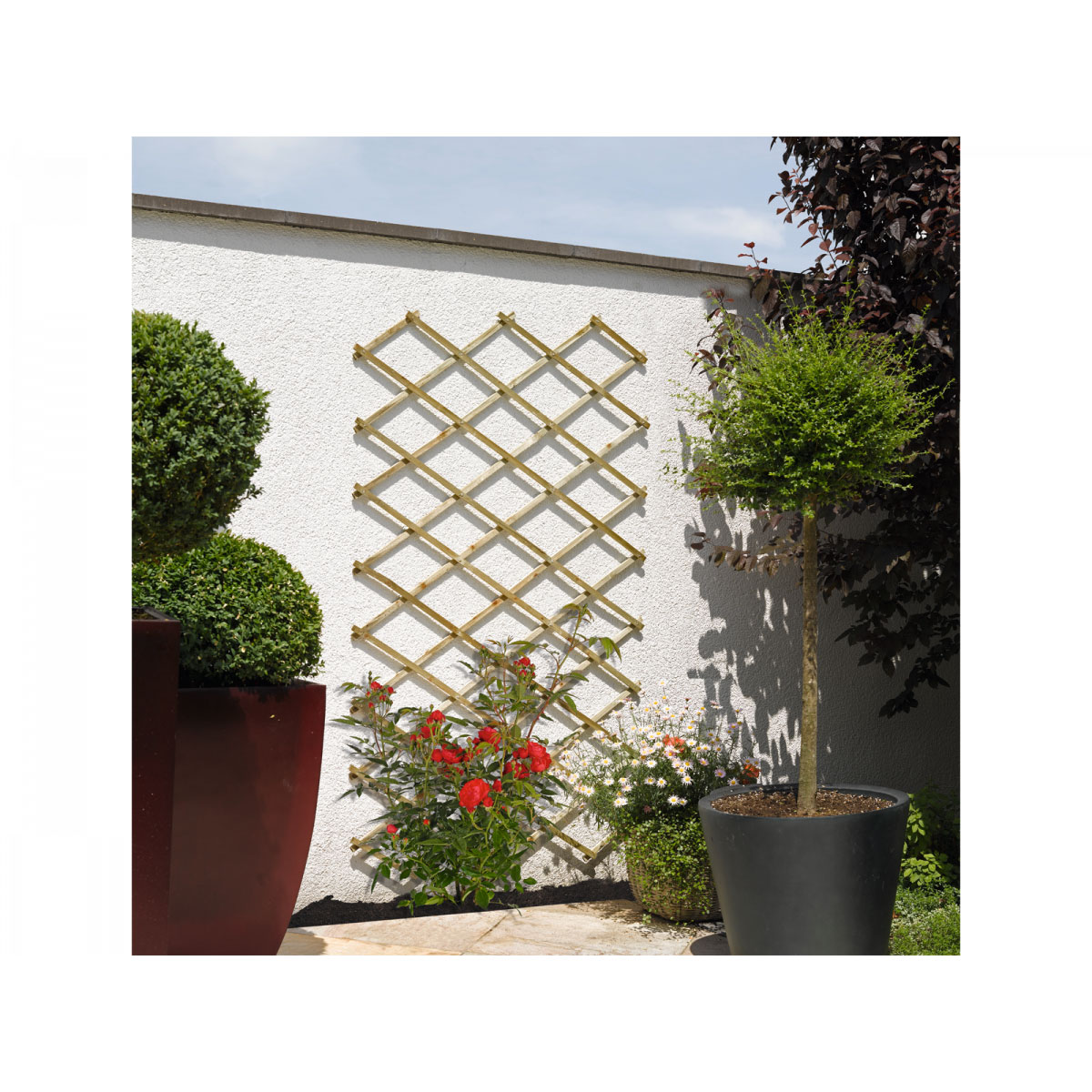 Scherenspalier Bild 2