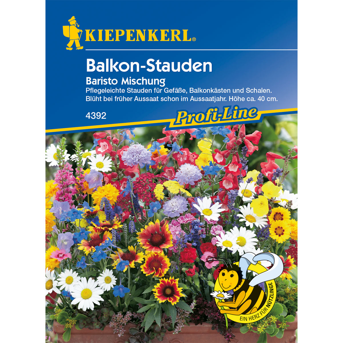 Kiepenkerl Balkon-Stauden-Mix Baristo Bild 1