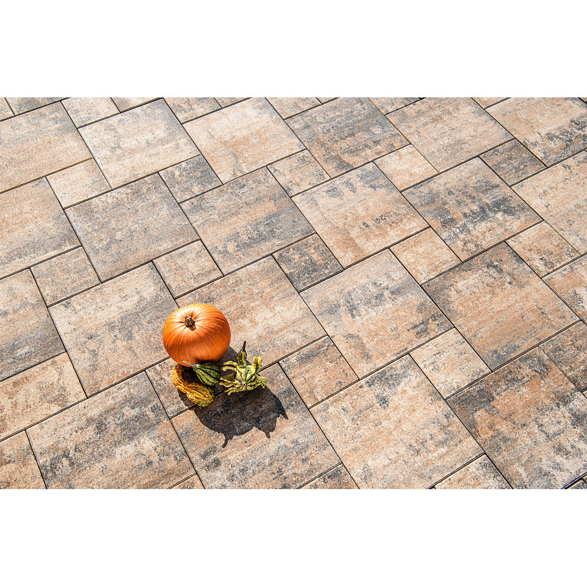 Terrassenplatte „No. 1 Nature“, Muschelkalk, 60x60x4cm Bild 5