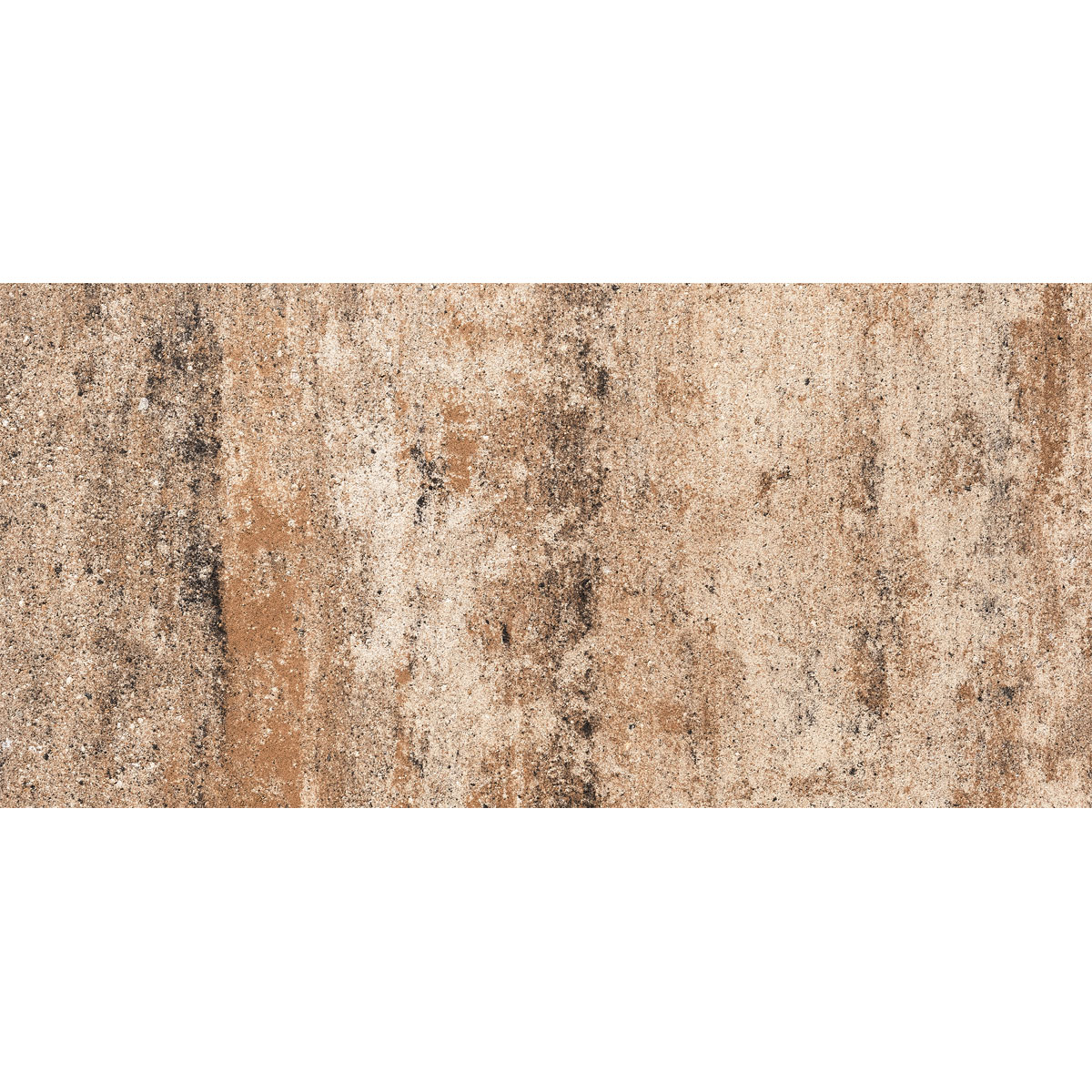 Terrassenplatte „No. 1 Nature“, Muschelkalk, 60x60x4cm