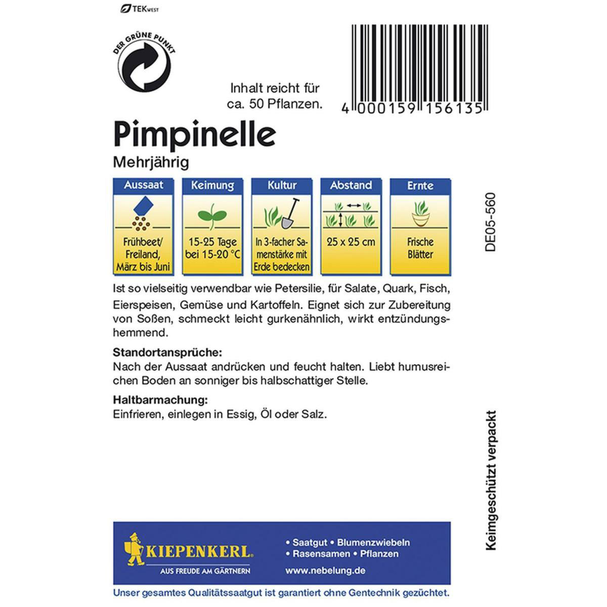 Kiepenkerl Pimpinelle mehrjährig Bild 2