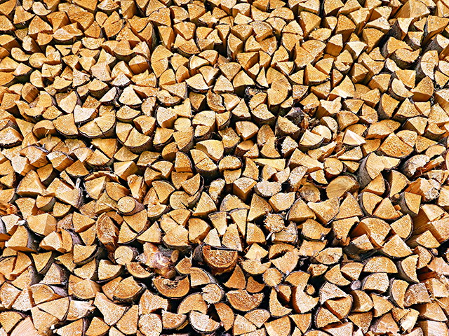 Brennholz_03 Brennholz_03