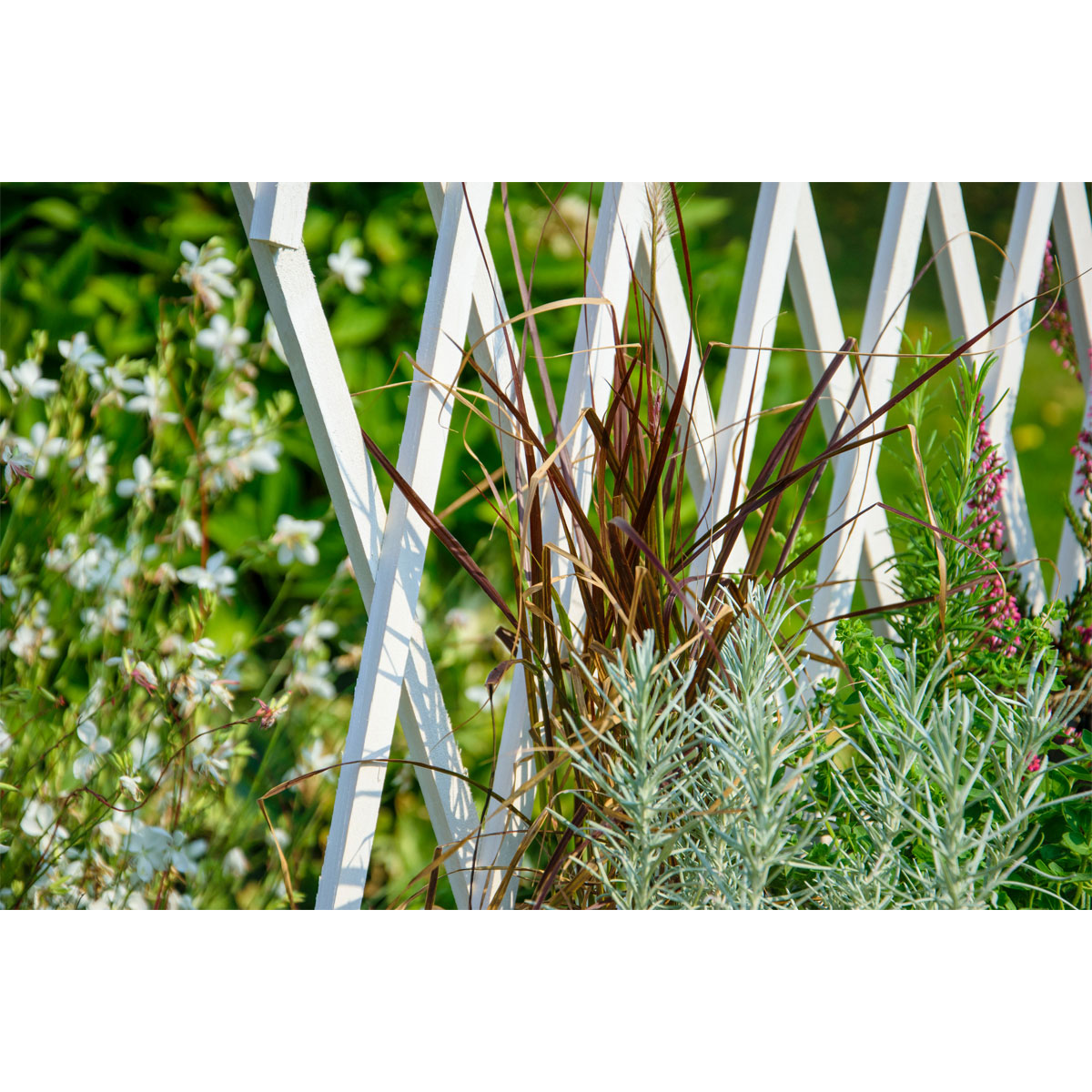 dobar Hochbeet mit Rankhilfe rollbar 79 x 130 x 28,5 cm weiß Bild 10