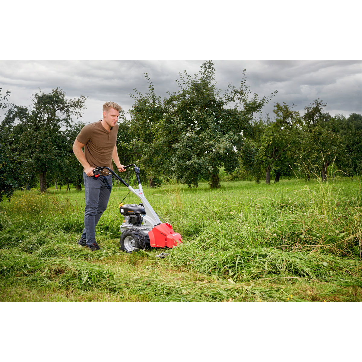 AL-KO  Balkenmäher BM 875 IV Bild 3