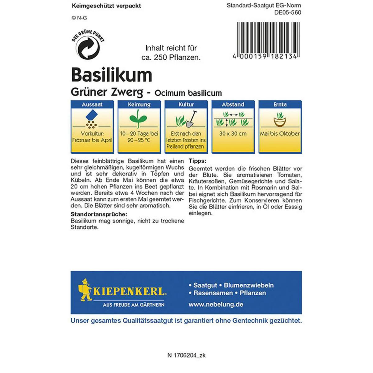 Kiepenkerl Basilikum ´Grüner Zwerg´ Bild 2