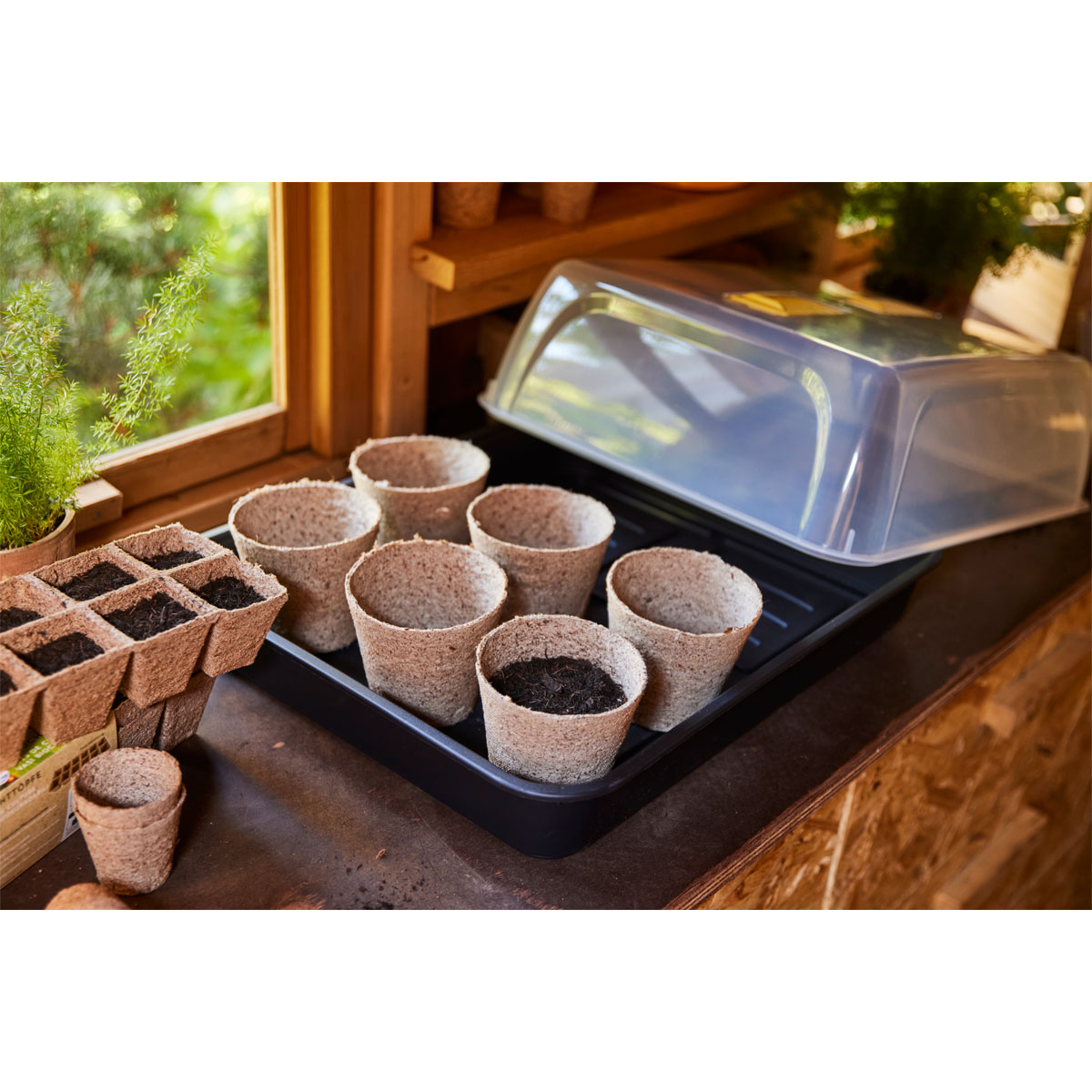 SIENA GARDEN  Gewächshaus XXL inkl Deckel 52 x 142 x 23 cm Bild 3